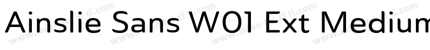 Ainslie Sans W01 Ext Medium字体转换